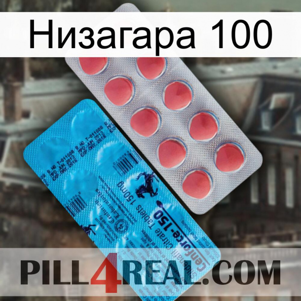 Низагара 100 new14.jpg